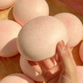 Realistic Daifuku Mochi Toy